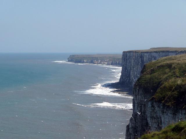 Bempton Cliffs